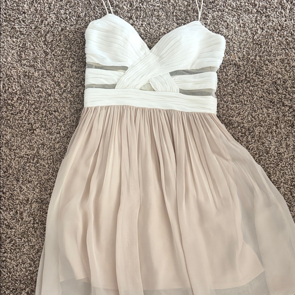 Adrianna Papell White and Cream Mini Dress